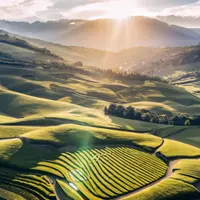 Scholz: Deutschland wird bis 2035 klimaneutral